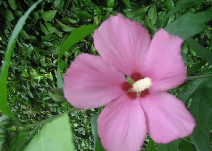 호텔 La Bussola 시티글리오